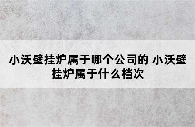 小沃壁挂炉属于哪个公司的 小沃壁挂炉属于什么档次